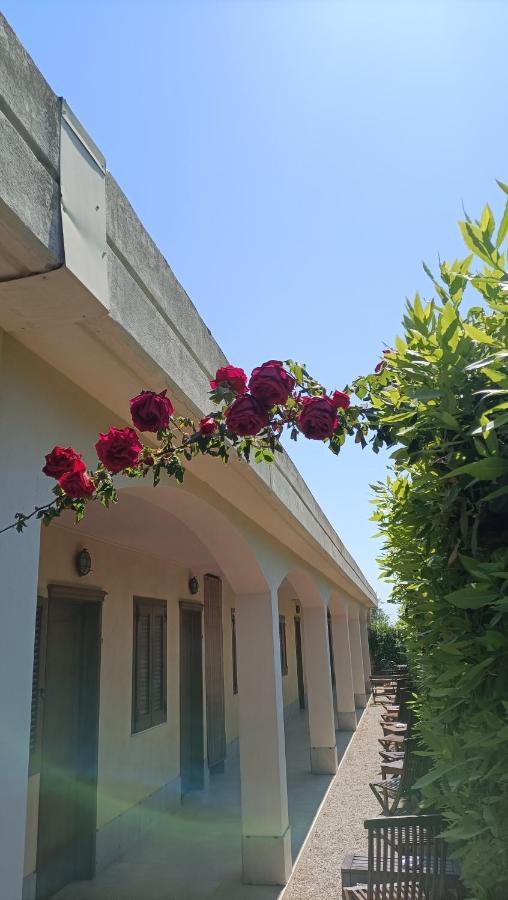 Farm stay Le Vedute Bisceglie